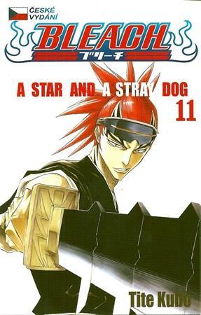 Obrázok Bleach 11