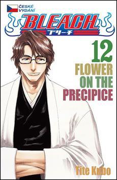 Obrázok Bleach 12