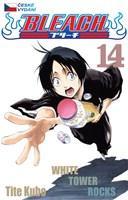 Obrázok Bleach 14