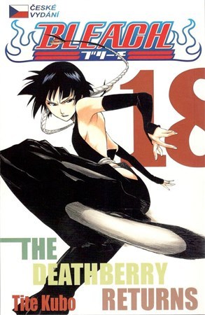 Obrázok Bleach 18