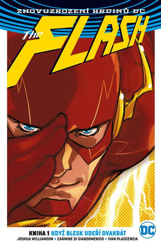 Obrázok Flash 1 - Blesk udeří dvakrát