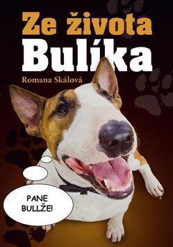 Obrázok Ze života Bulíka