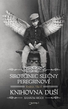 Obrázok Sirotčinec slečny Peregrinové: Knihovna duší