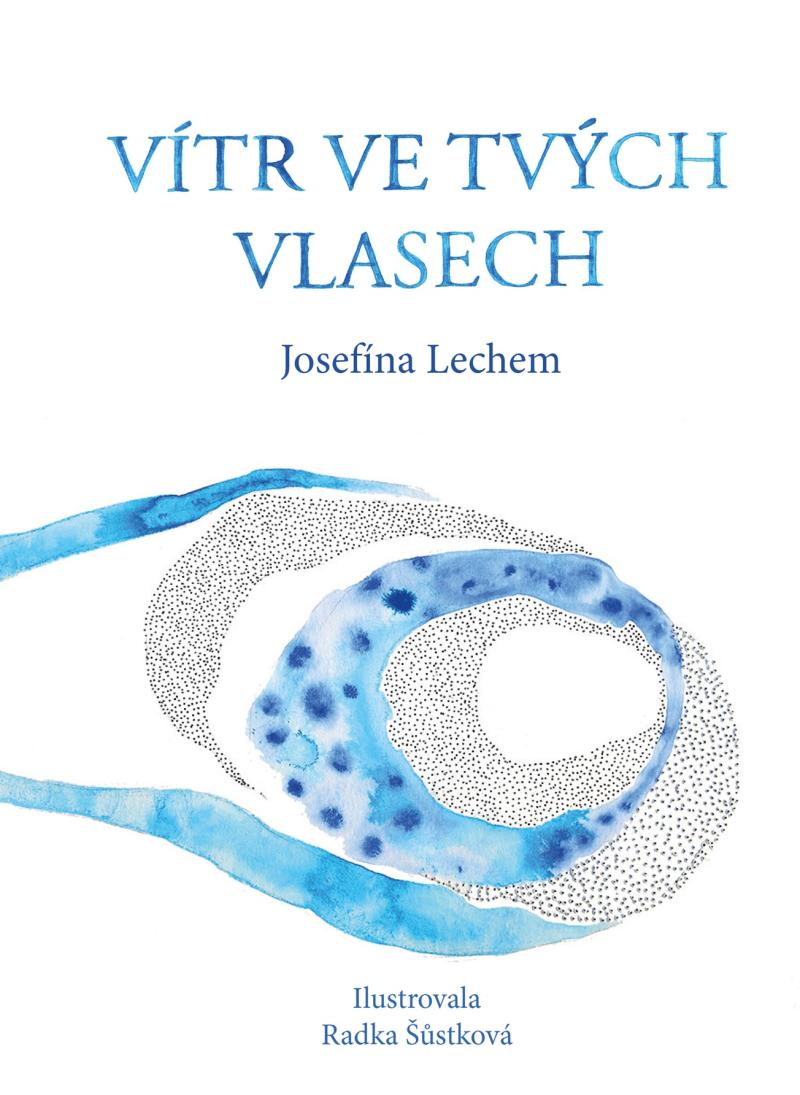Obrázok Vítr ve tvých vlasech