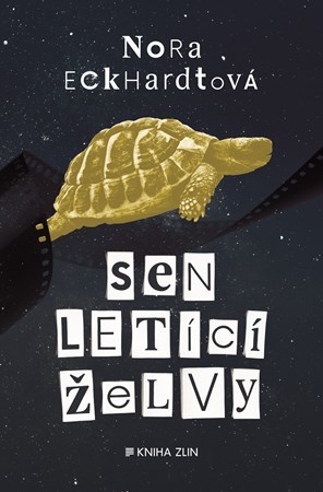 Obrázok Sen letící želvy