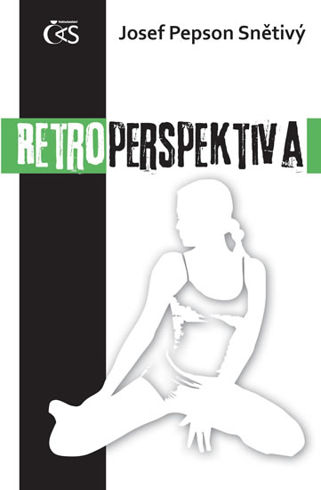 Obrázok Retroperspektiva