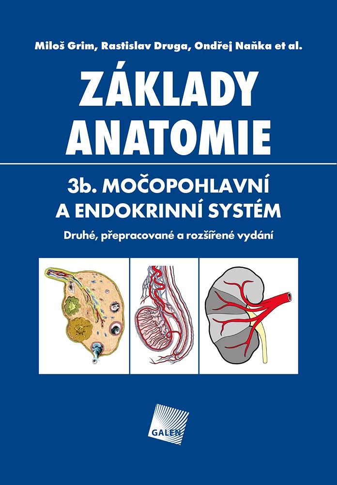 Obrázok Základy anatomie. 3b - Močopohlavní a endokrinní systém