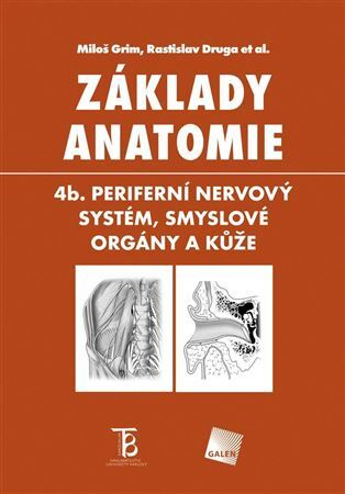 Obrázok Základy anatomie 4b - Periferní nervový systém, smyslové orgány a kůže