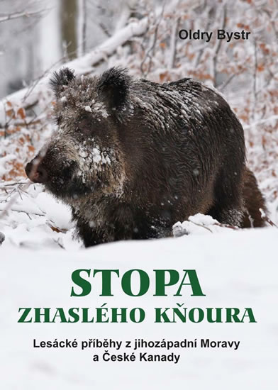 Obrázok Stopa zhaslého kňoura