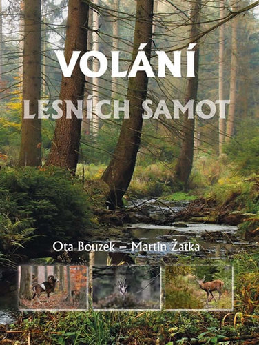 Obrázok Volání lesních samot