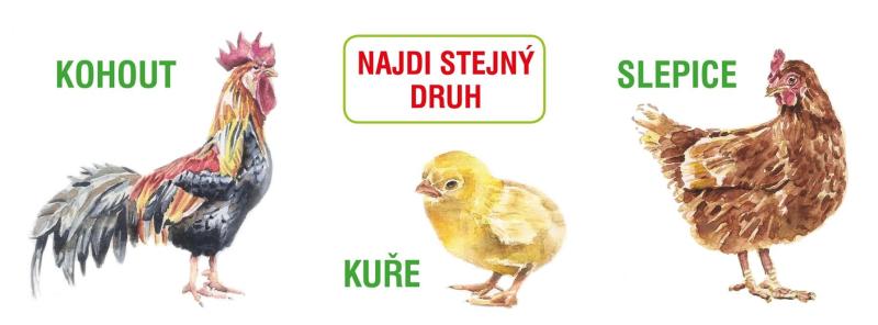 Obrázok Najdi stejný druh