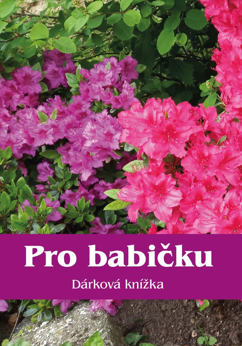 Obrázok Pro babičku - Dárková knížka