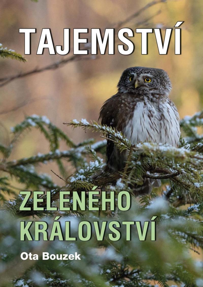 Obrázok Tajemství zeleného království