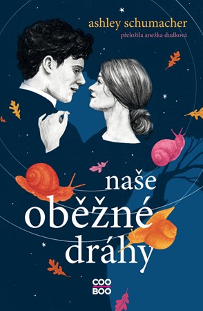 Obrázok Naše oběžné dráhy