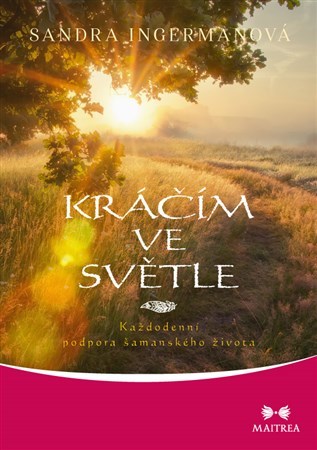 Obrázok Kráčím ve světle - Každodenní podpora ša