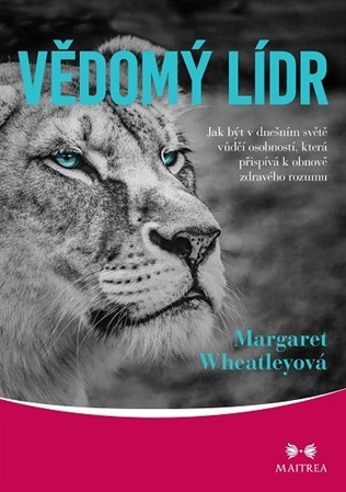 Obrázok Vědomý lídr - Jak být v dnešním světě vů
