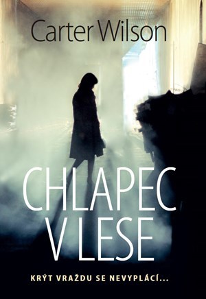 Obrázok Chlapec v lese