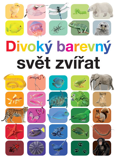 Obrázok Divoký barevný svět zvířat