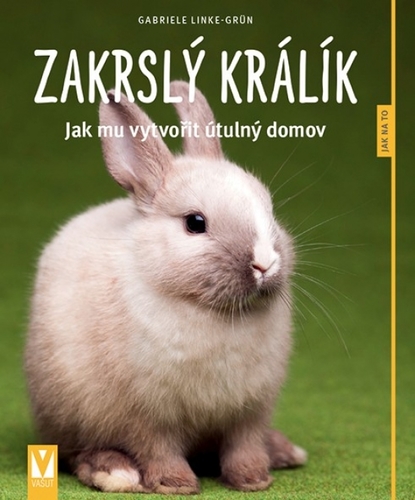 Obrázok Zakrslý králík – Jak mu vytvořit útulný domov