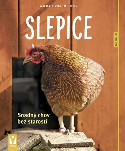 Obrázok Slepice - snadný chov bez starostí