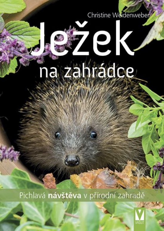 Obrázok Ježek na zahrádce