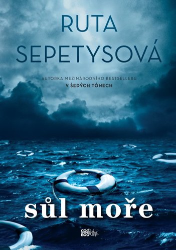Obrázok Sůl moře