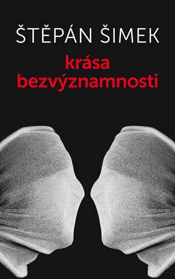 Obrázok Krása bezvýznamnosti