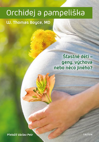 Obrázok Orchidej a pampeliška
