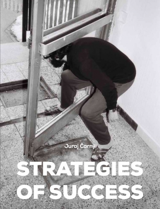 Obrázok Strategies of Success/Stratégie úspechu - Slovenské umenie v zbierkach zahraničných múzeí