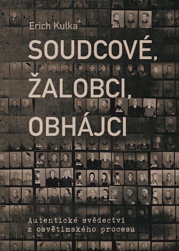 Obrázok Soudcové, žalobci, obhájci