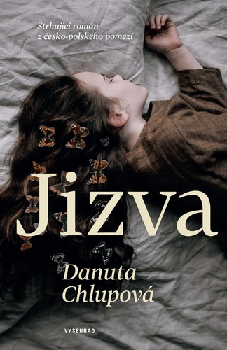 Obrázok Jizva