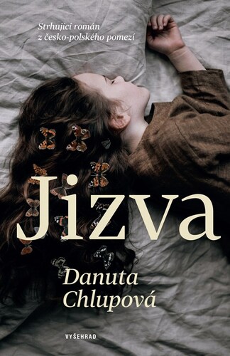 Obrázok Jizva