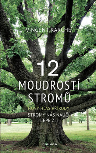 Obrázok 12 moudrostí stromů