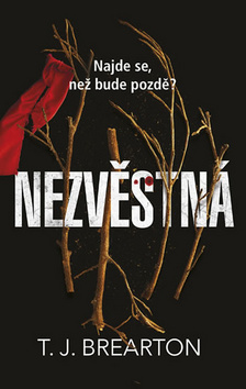 Obrázok Nezvěstná