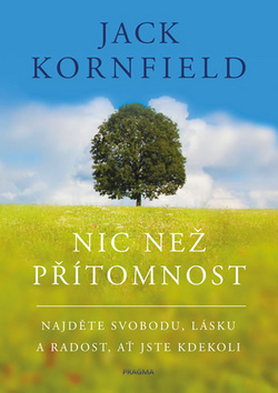 Obrázok Nic než přítomnost - Najděte svobodu, lásku a radost, ať jste kdekoli