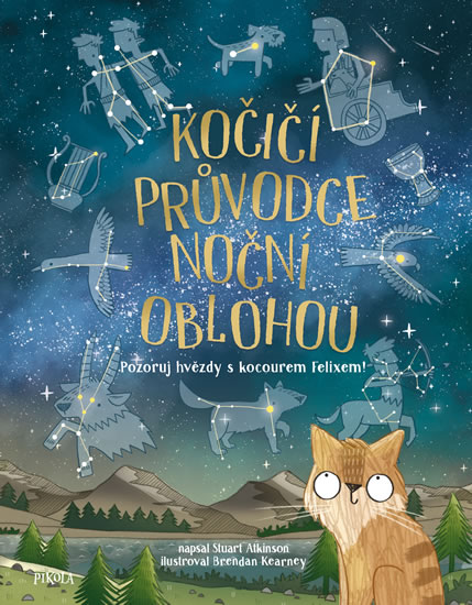 Obrázok Kočičí průvodce noční oblohou