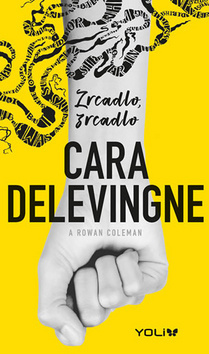 Obrázok Zrcadlo, zrcadlo