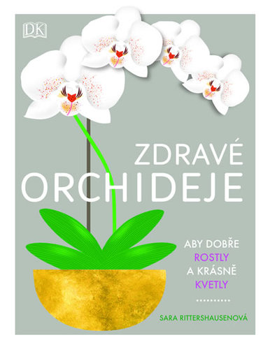 Obrázok Zdravé orchideje