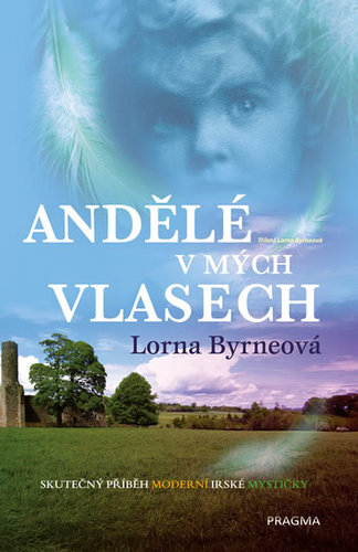 Obrázok Andělé v mých vlasech - Vzpomínky - Skut