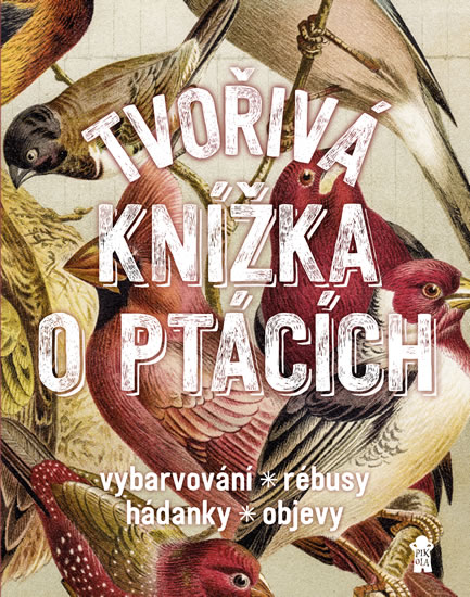 Obrázok Tvořivá knížka o ptácích