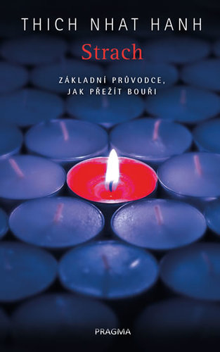 Obrázok Strach. Základní průvodce, jak přežít bo
