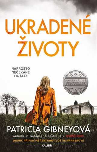 Obrázok Ukradené životy