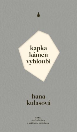 Obrázok Kapka kámen vyhloubí