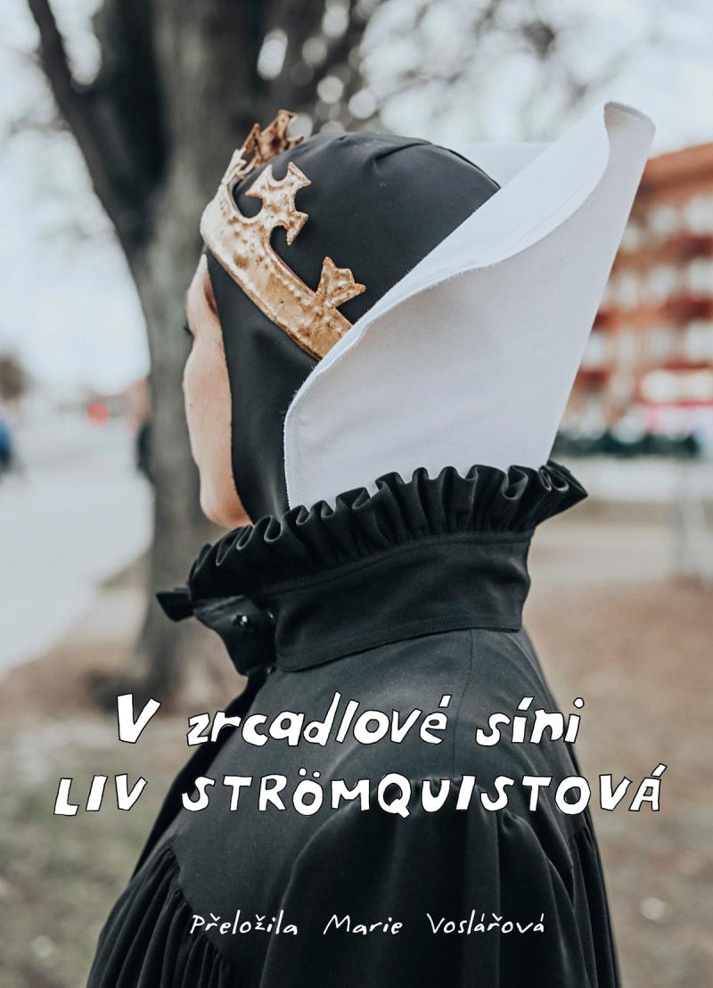 Obrázok V zrcadlové síni