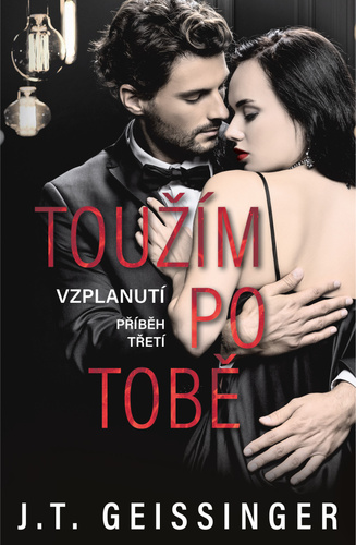 Obrázok Toužím po tobě