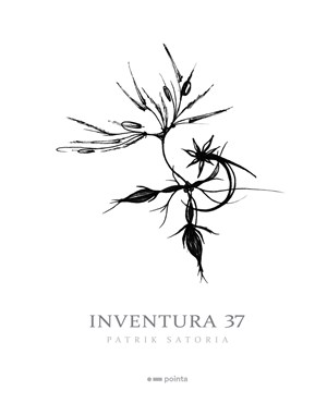 Obrázok Inventura 37