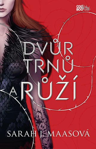 Obrázok Dvůr trnů a růží