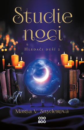 Obrázok Studie noci