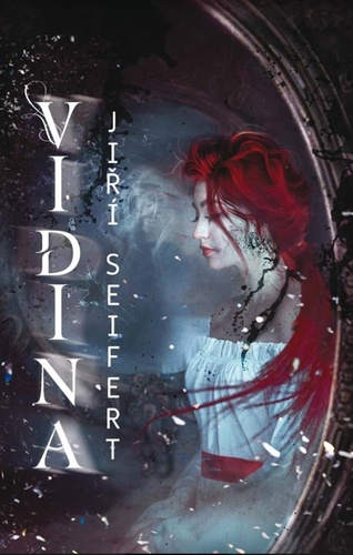 Obrázok Vidina