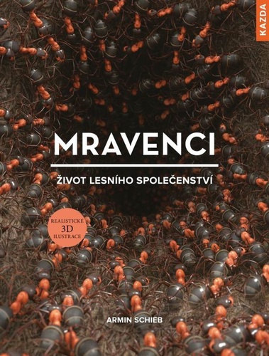 Obrázok Mravenci - Život lesního společenství